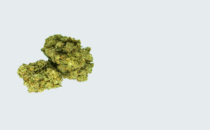 AMNESIA-CBD-BANNER-thetreecbd amensia cbd