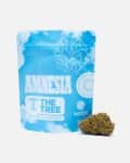 amnesia-thetreecbd-web