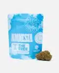 amnesia-thetreecbd-web