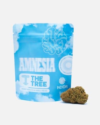 Amnesia CBD