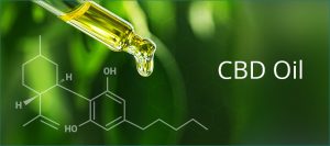 cbd-oil