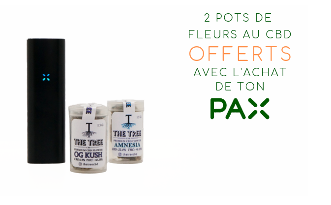 banner-sanvalentin-sinfondo-french-thetree-cbd