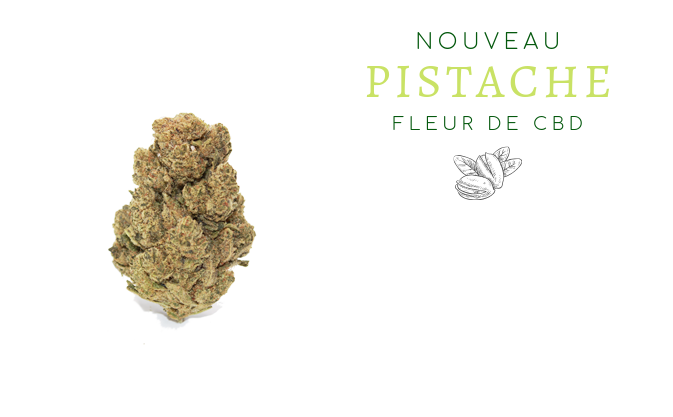 banner-pistacho-french-thetree-cbd