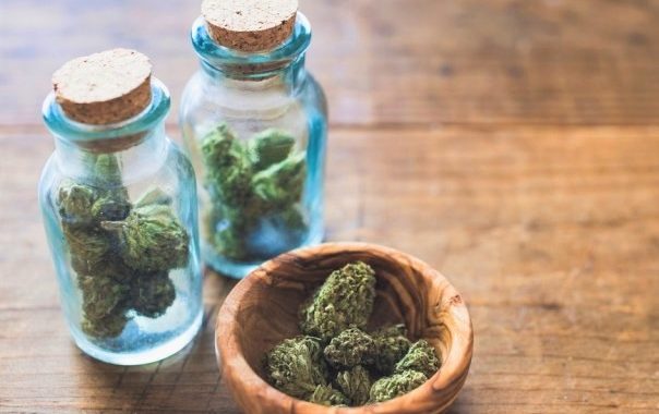 cannabis-buds-price