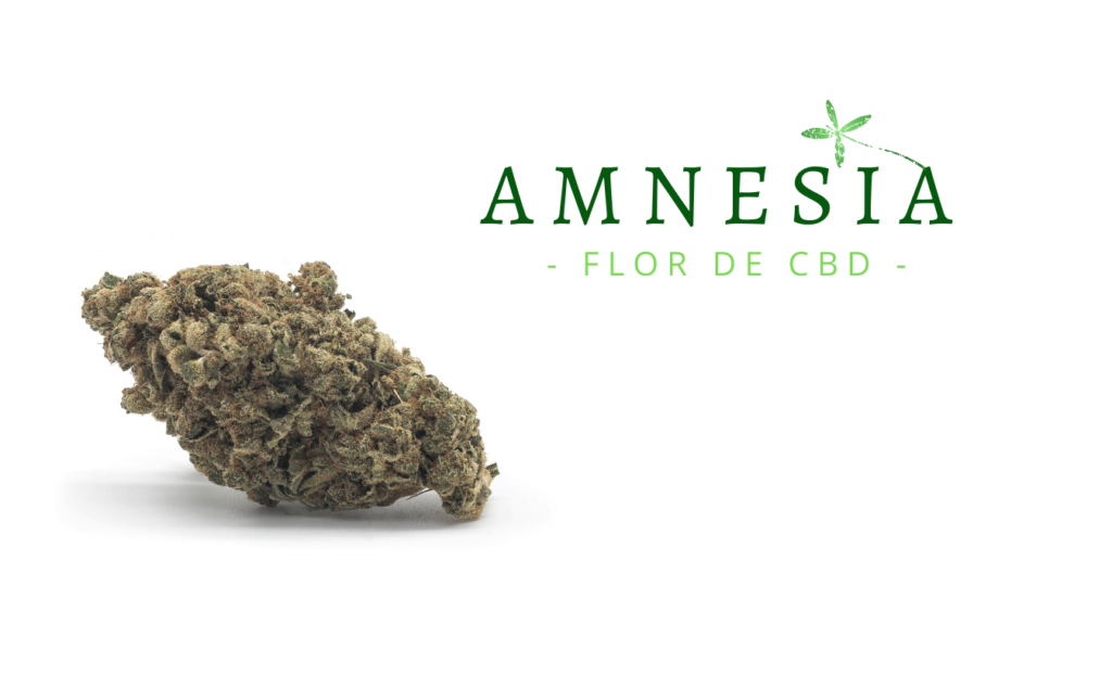 marihuana-amnesia