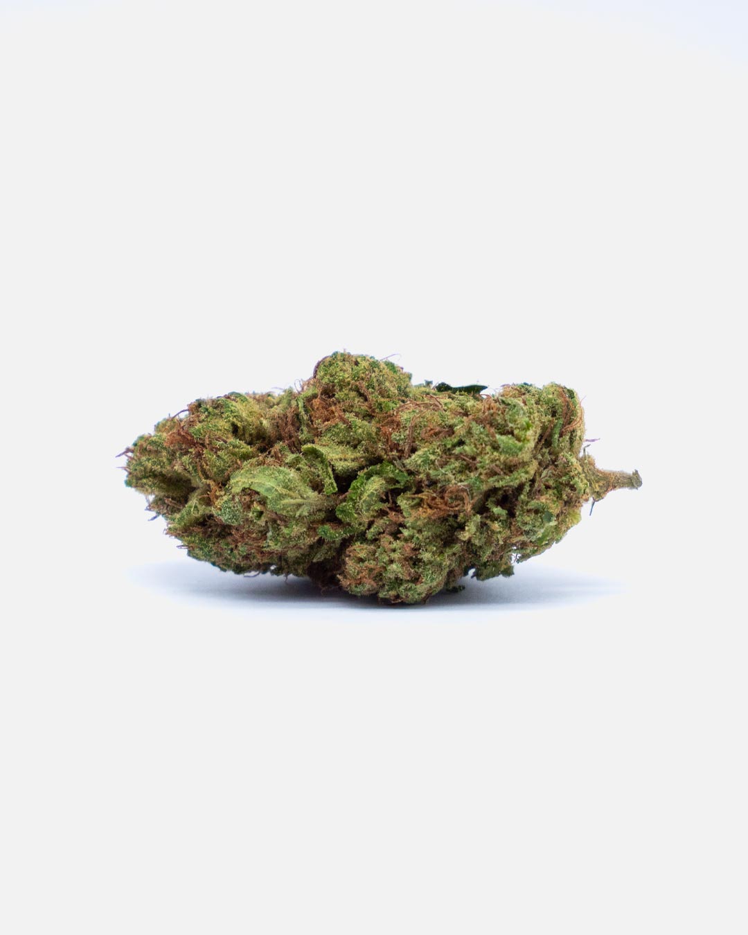 ogskywalke32-thetree-web