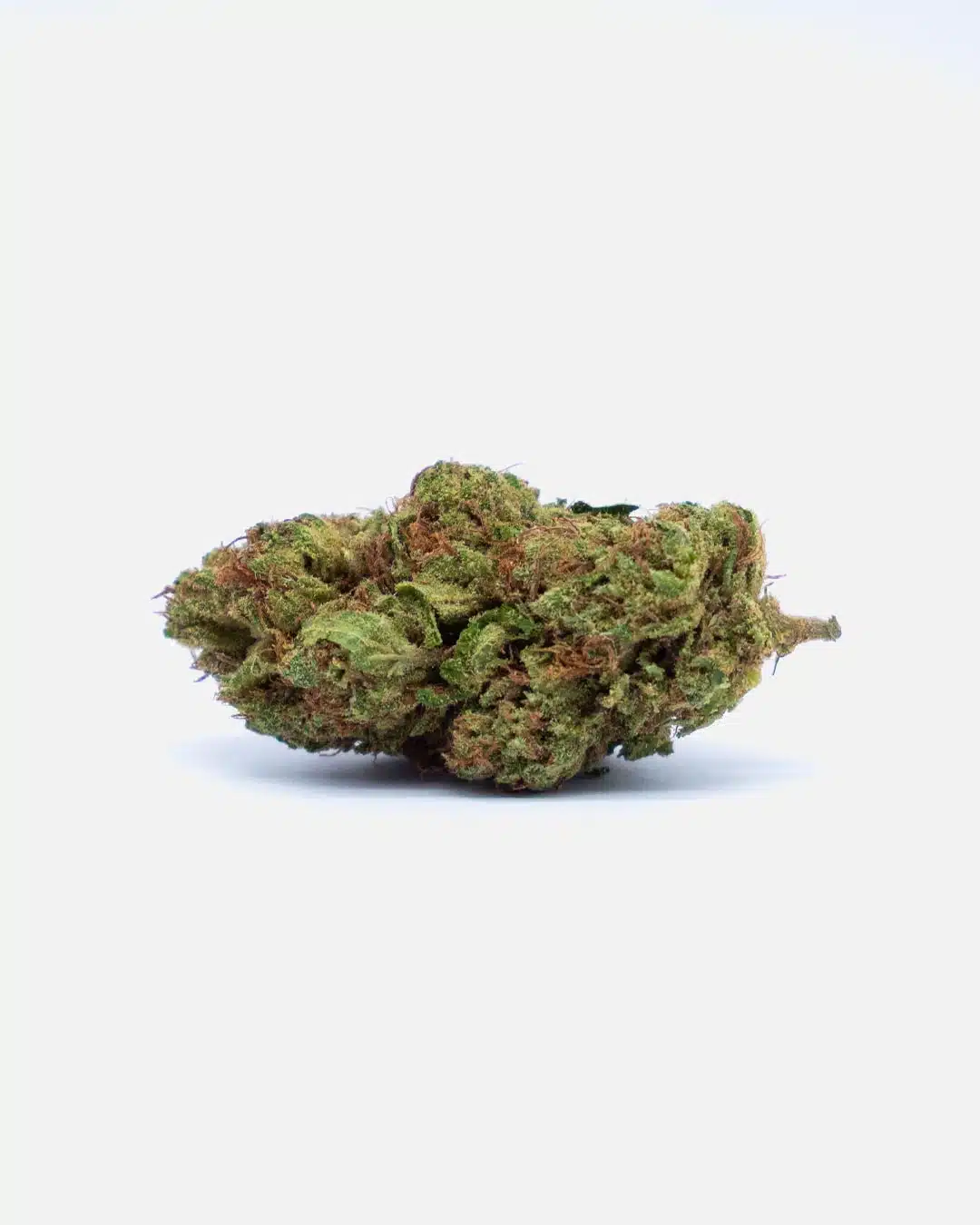 ogskywalke32-thetree-web