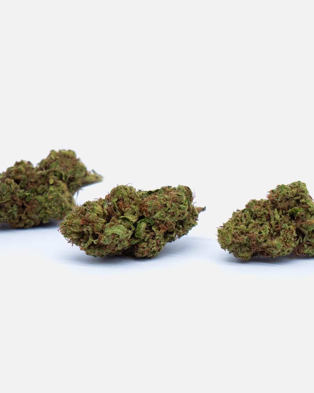 ogskywalker2-thetree-web