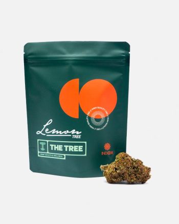 Lemon Tree CBD