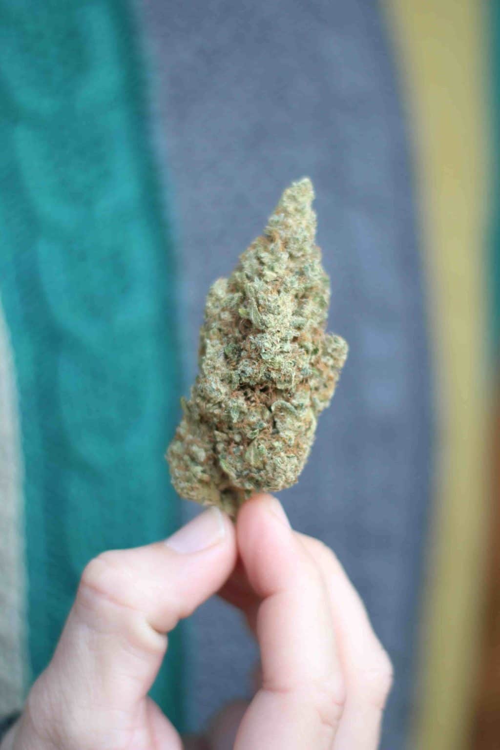 How to take CBD under your tongue The Tree CBD