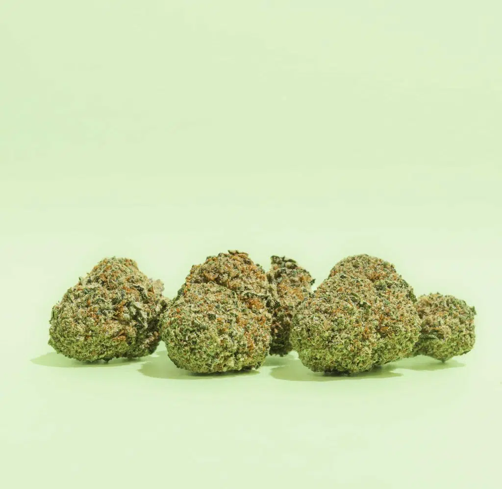 What distinguishes hemp from marijuana?