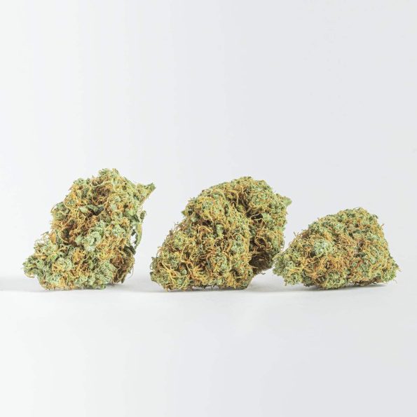 malibu-exotic-cogollos-cbd