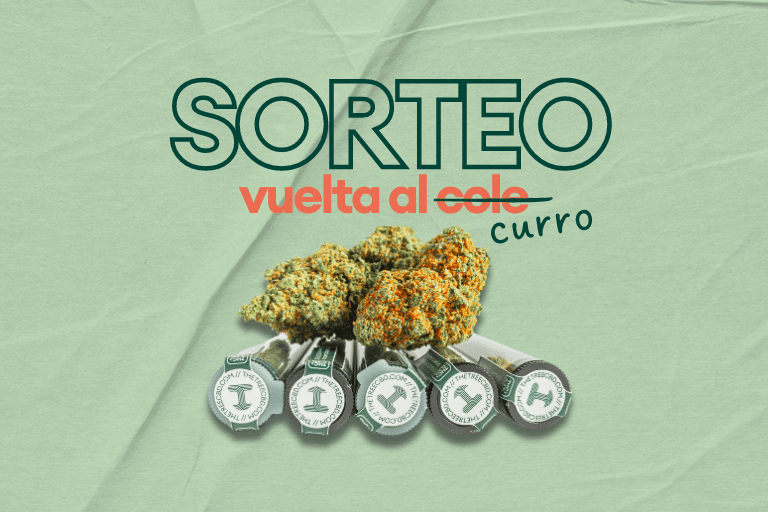 sorteo-cbd