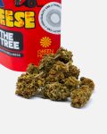 1UK-cheese-thetreecbd-web