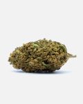 UK-Cheese-thetree-web