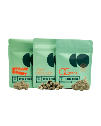 Pack CBD Green House – Aromas intensos y calidad controlada