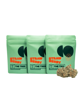 Pack Strawberry CBD – Compra 2 y llévate 3