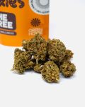 orange-cookies-thetreecbd-web