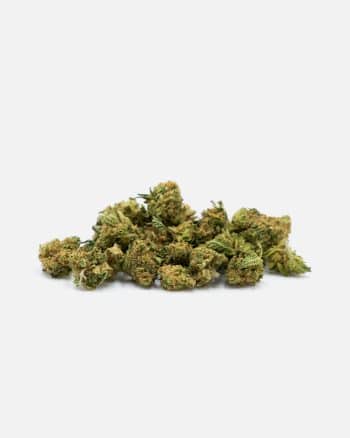 Small Bud MAC  CBD