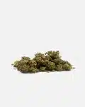 OG-Kush_thetreecbd