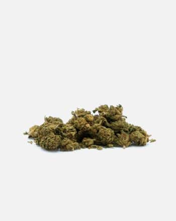 Small Buds OG Kush CBD