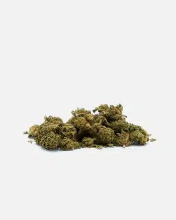Petits bourgeons OG Kush CBD
