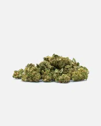 Cogollo pequeño Sundae Driver CBD