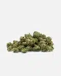 Malibu-Exotic-thetreecbd