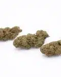 candy fumez 1 flor