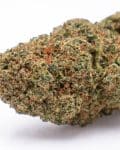 candy fumez 1 flor