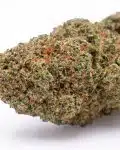 candy fumez 1 flor