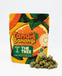 tangie banangi smalls 1