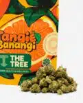 tangie banangi smalls 1